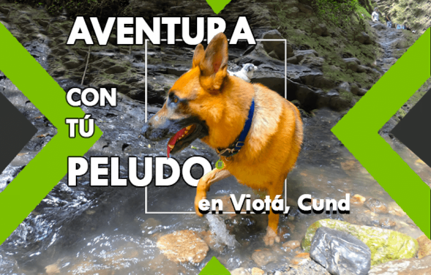 Aventura con tu Peludo en Viotá